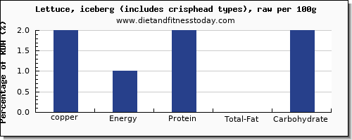 copper and nutrition facts in iceberg lettuce per 100g